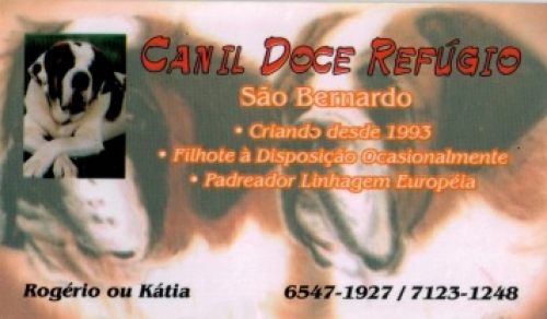 Geral