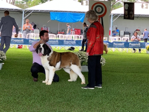  Kosmo Dogs Titânia