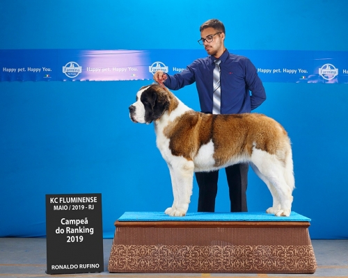  Kosmo Dogs Titânia