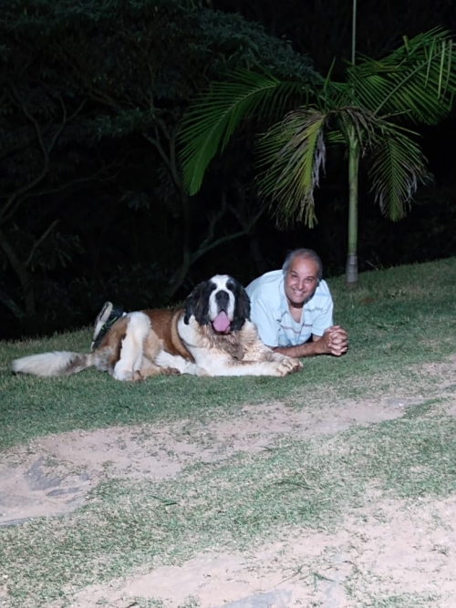 Kosmo Dogs Titânia