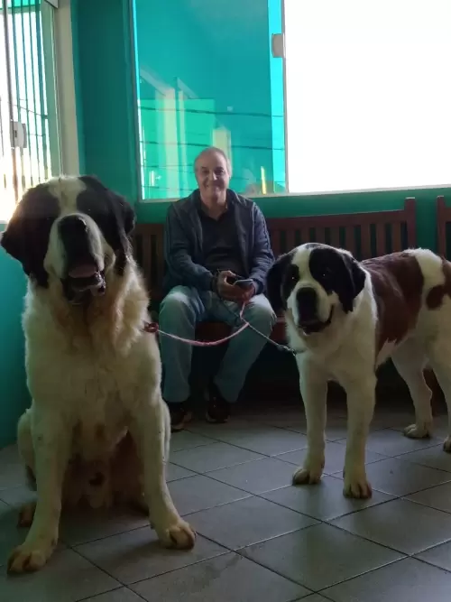 Clientes Felizes