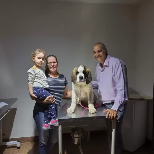 Clientes Felizes