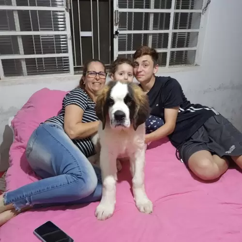Clientes Felizes