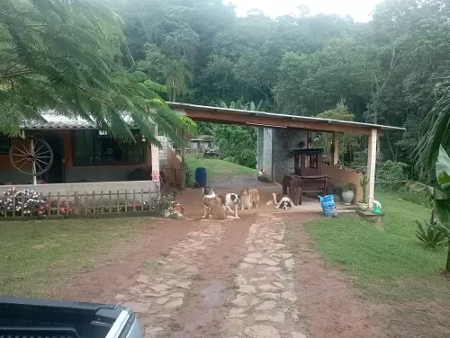 São Bernardo
